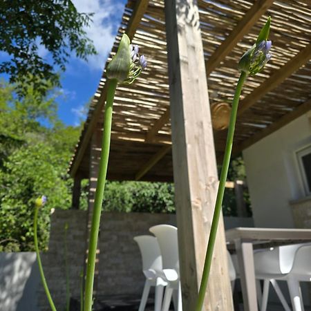 Petite Maison - Porto-Vecchio Buitenkant foto